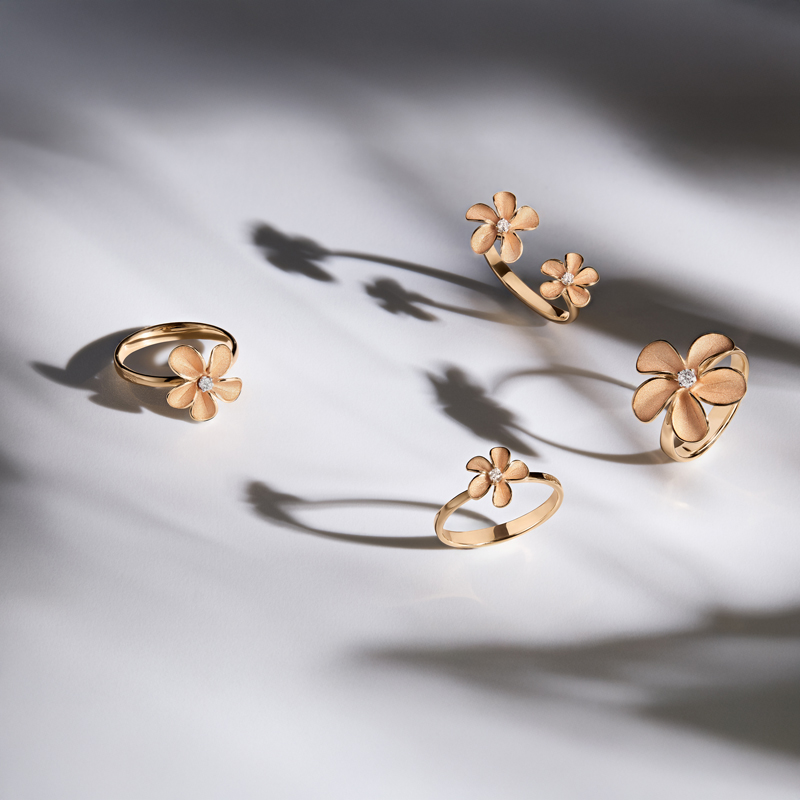 Vier goldene Ringe mit Blumenmotiv und schimmernden Edelsteinen auf weißem Hintergrund